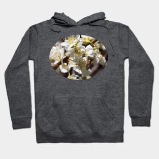 Honey Bee in Plum Tree Blossom Hoodie